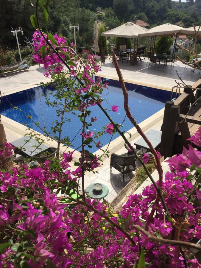 The Stone Castle Boutique Hotel Ağaçlı Eksteriør bilde